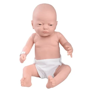 1005089 Bebek Bakım Modeli, Kız
