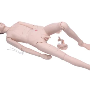 Hemşirelik/Hasta Bakım Maketi (Erkek)