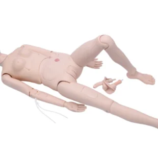 Hemşirelik/Hasta Bakım Maketi (Kadın)